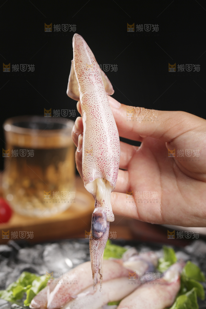 深底上的海兔