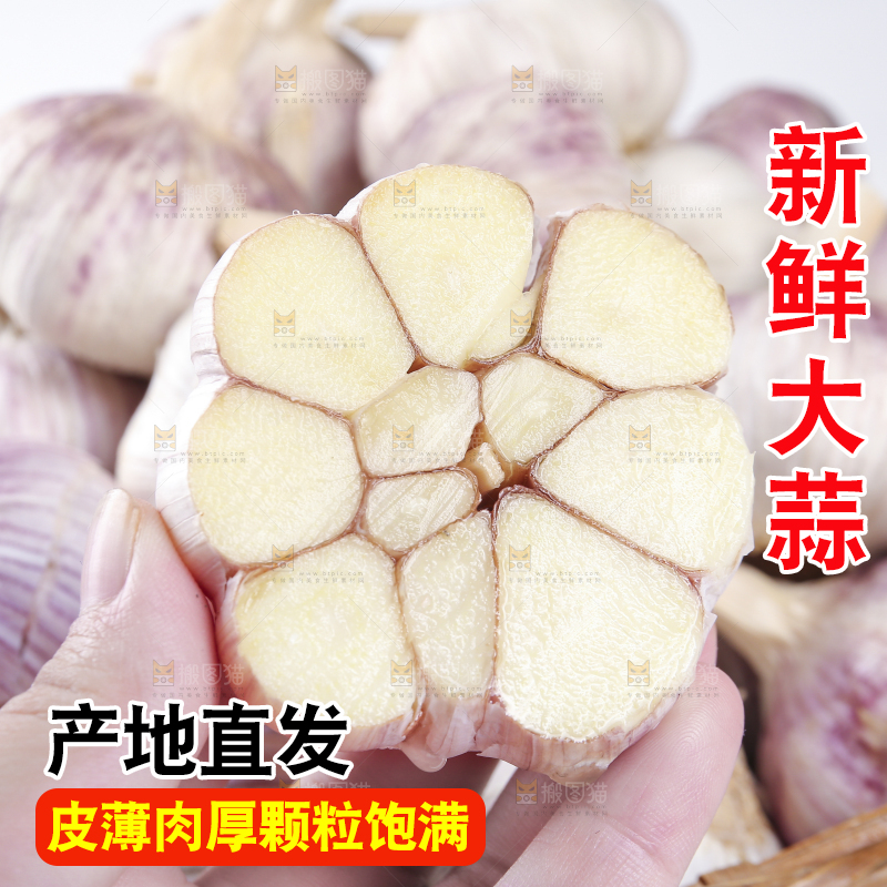 白底上的紫皮干大蒜