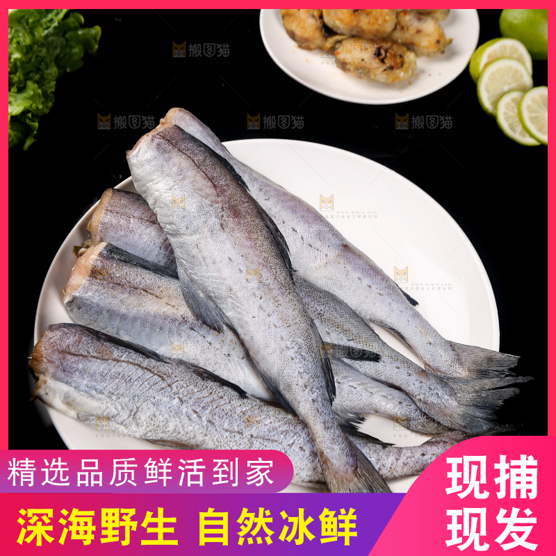深底上的鳕鱼