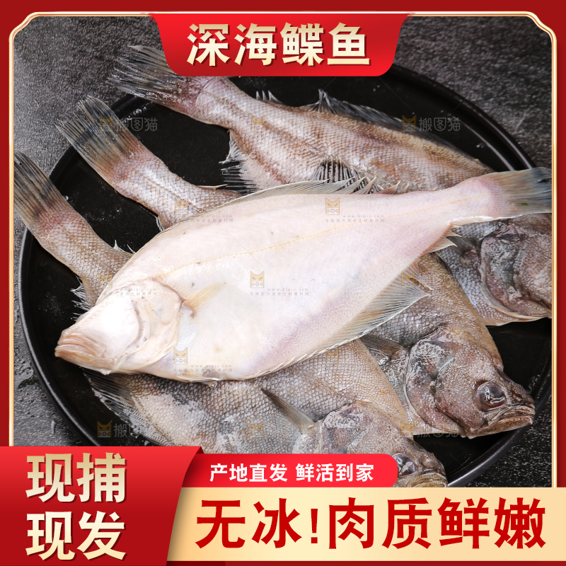 深底上的鲽鱼