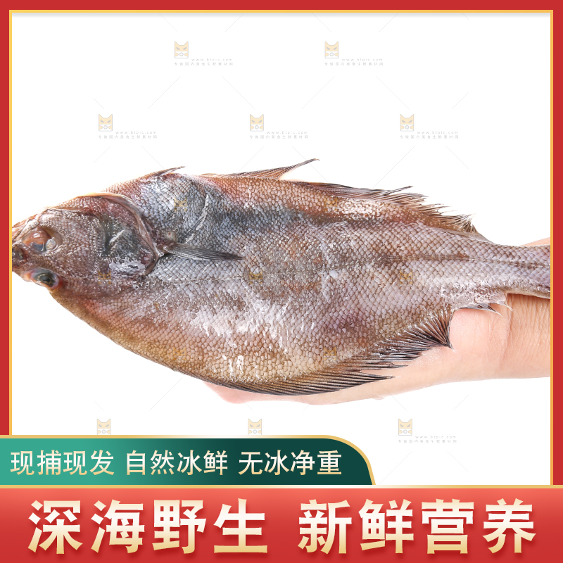 白底上的鲽鱼