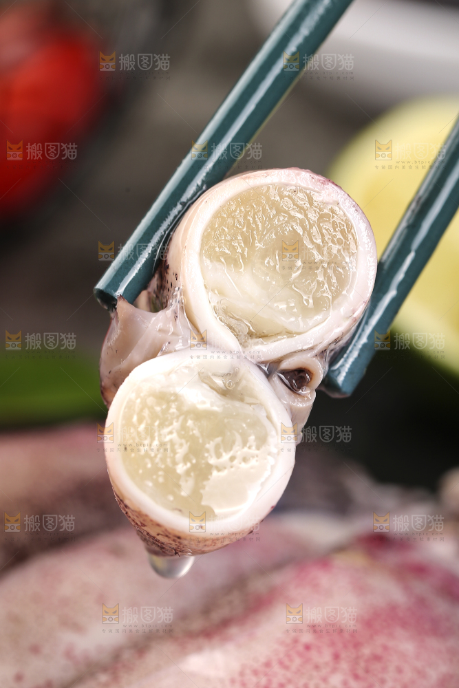 深底上的海兔