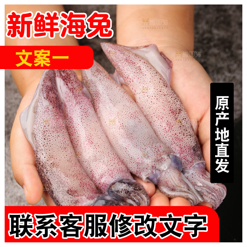深底上的海兔