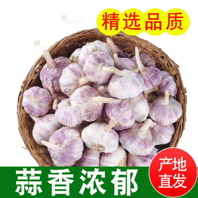 白底上的紫皮干大蒜