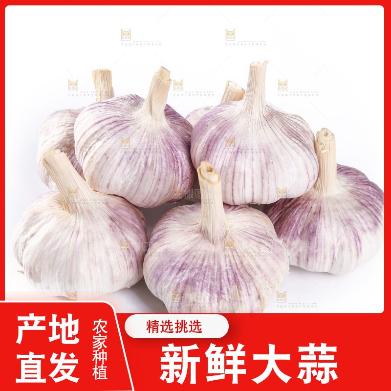 白底上的紫皮干大蒜