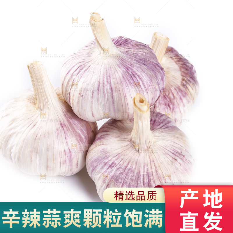 白底上的紫皮干大蒜