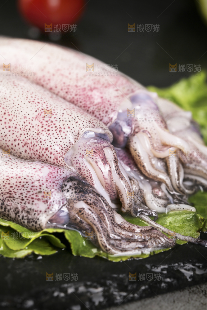 深底上的海兔