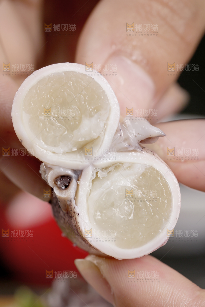 深底上的海兔