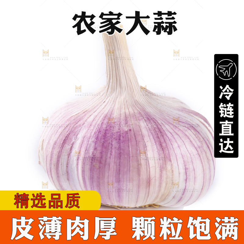 白底上的紫皮干大蒜