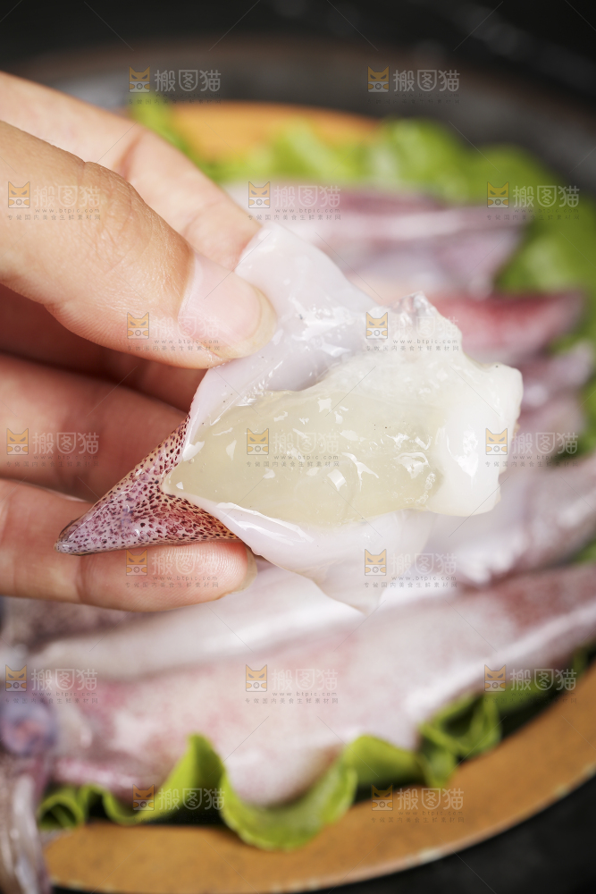 深底上的海兔