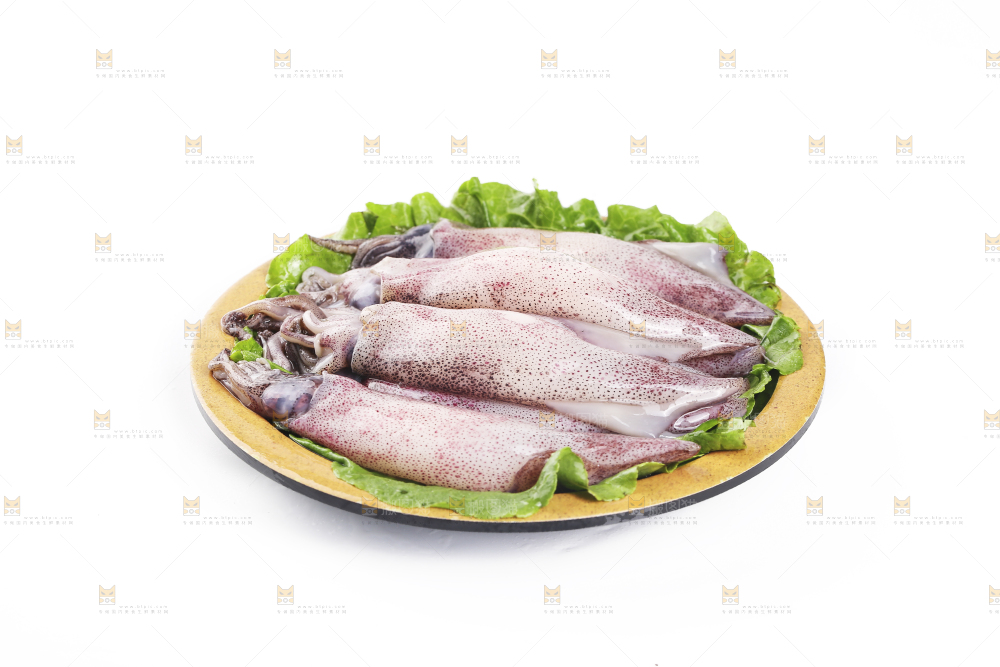 白底上的海兔
