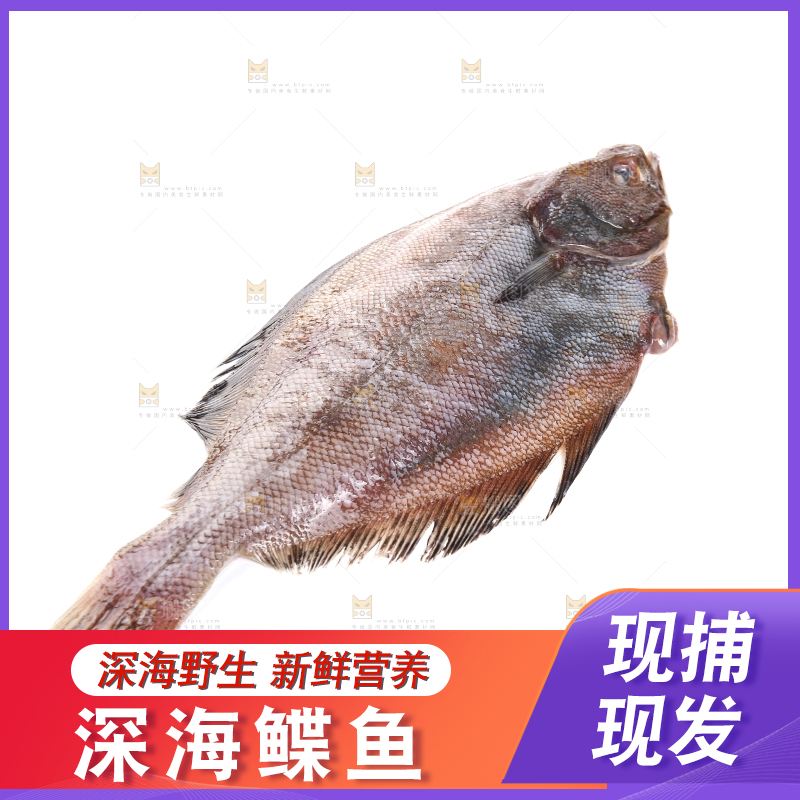 白底上的鲽鱼