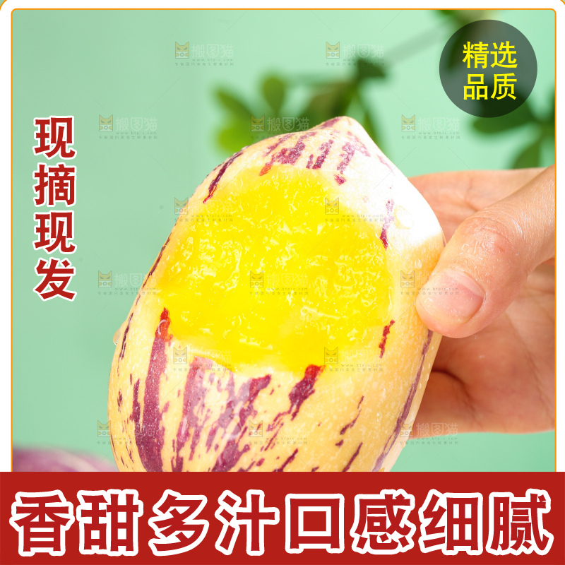 浅底上的民勤人参果