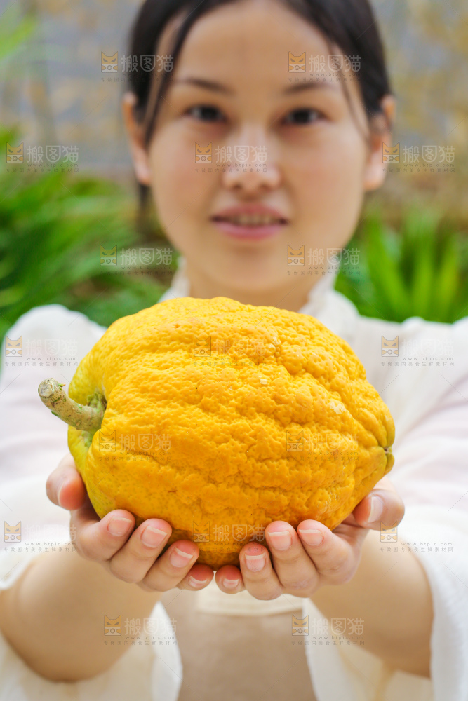 手里拿着香橼果