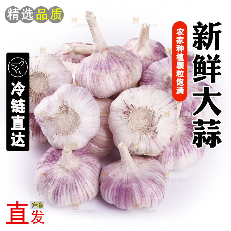 白底上的紫皮干大蒜