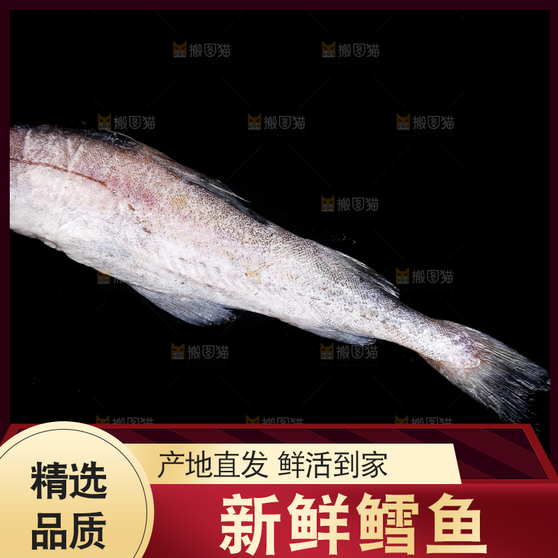 深底上的鳕鱼