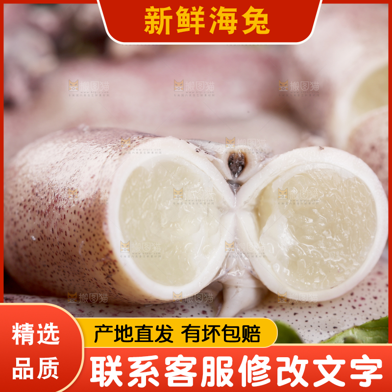 深底上的海兔