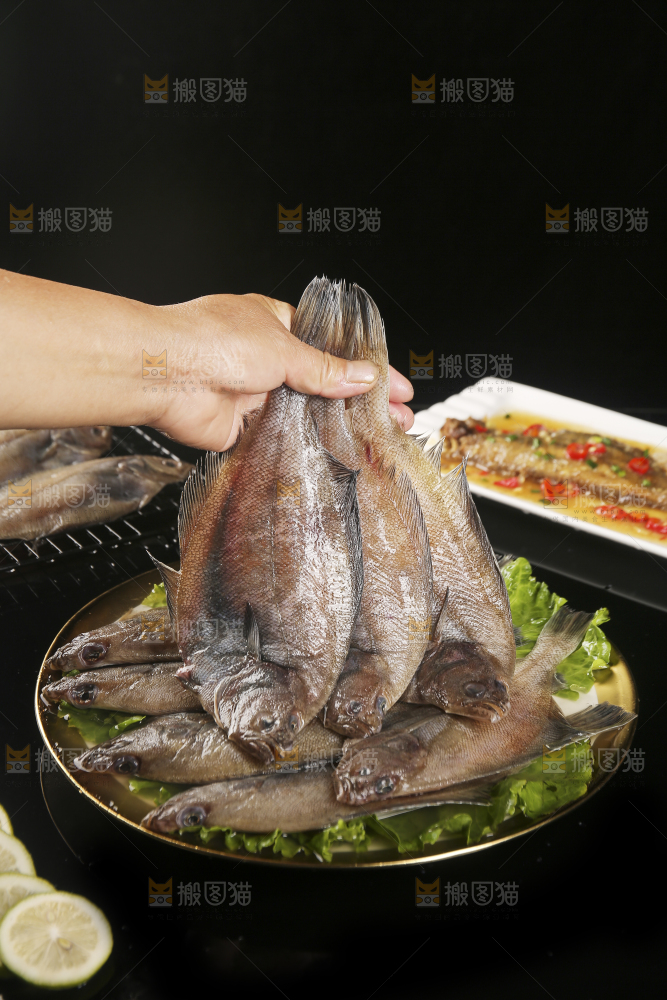 深底上的鲽鱼