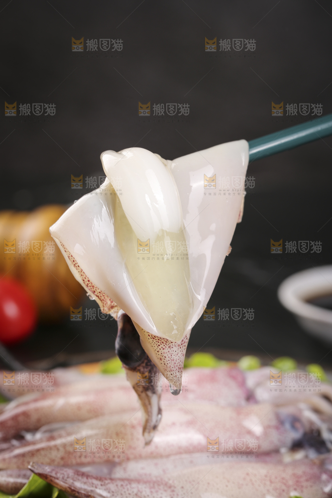 深底上的海兔