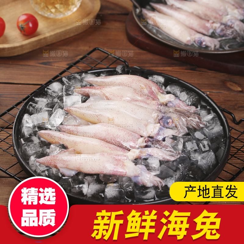 深底上的海兔