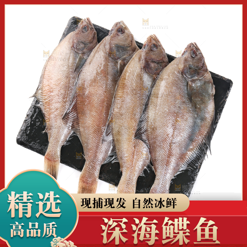 白底上的鲽鱼