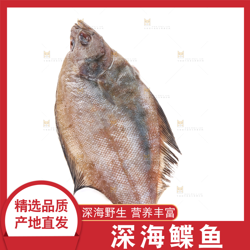 白底上的鲽鱼