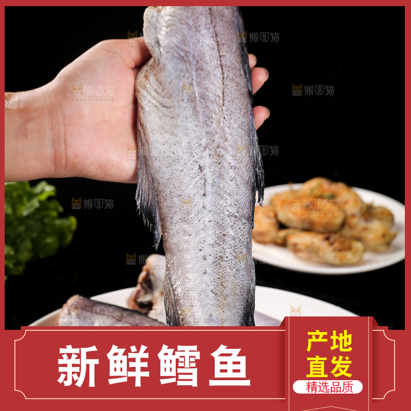 深底上的鳕鱼