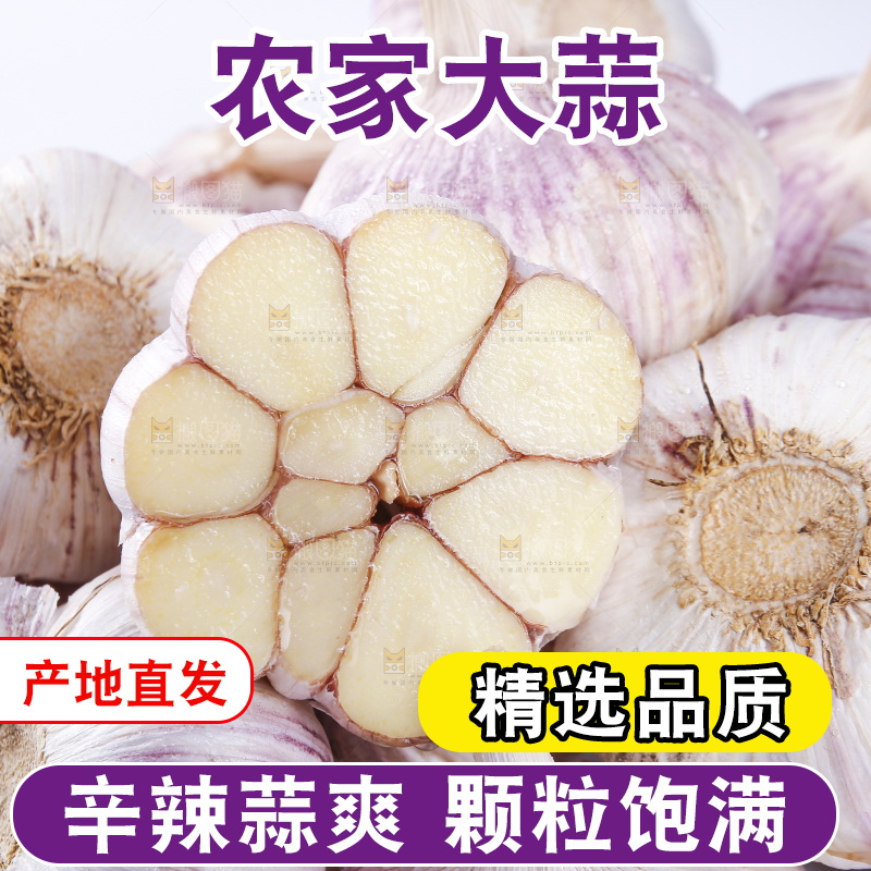 白底上的紫皮干大蒜
