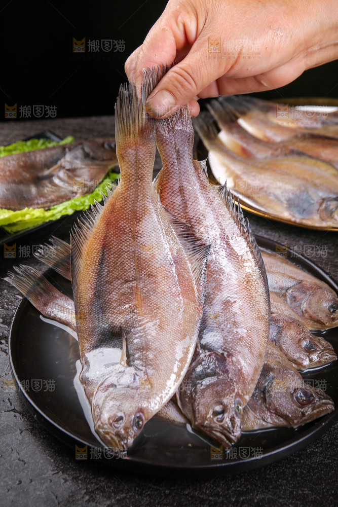 深底上的鲽鱼