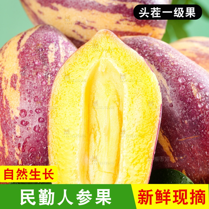 浅底上的民勤人参果