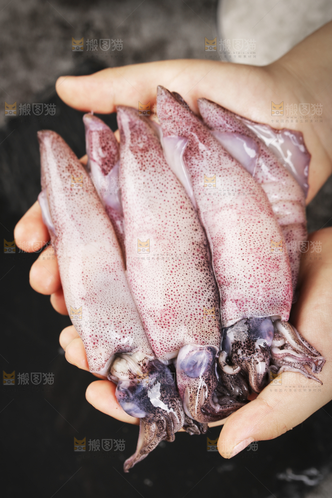 深底上的海兔