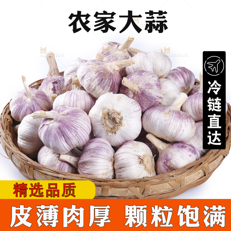 白底上的紫皮干大蒜