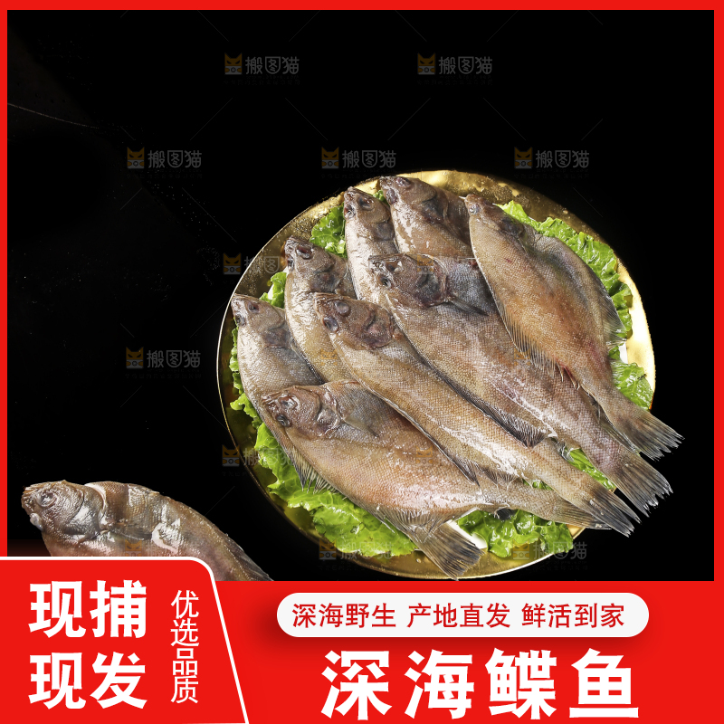 深底上的鲽鱼