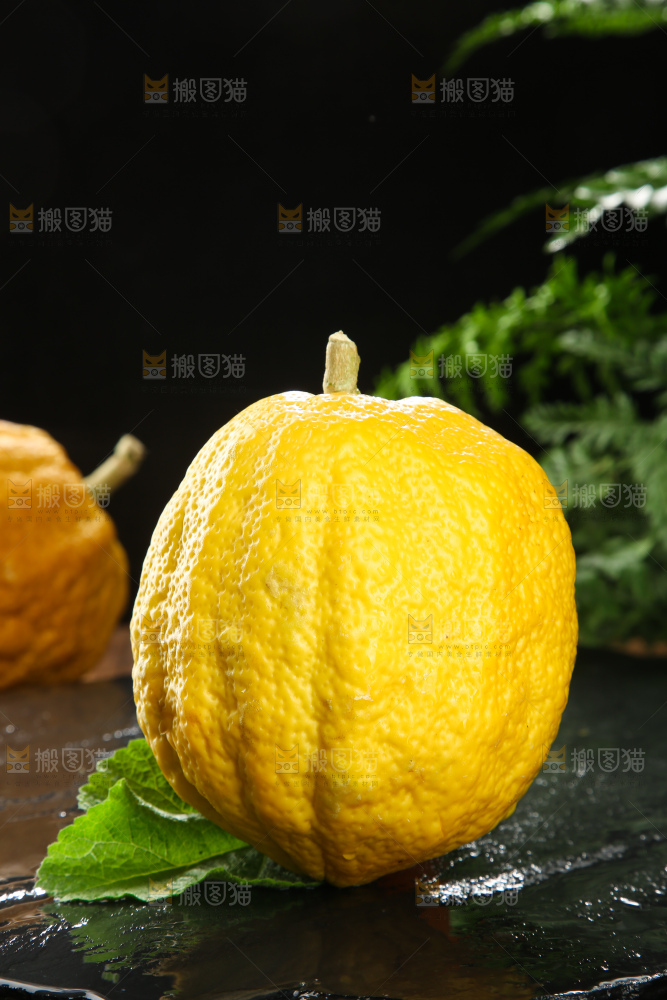 深底上的香橼果