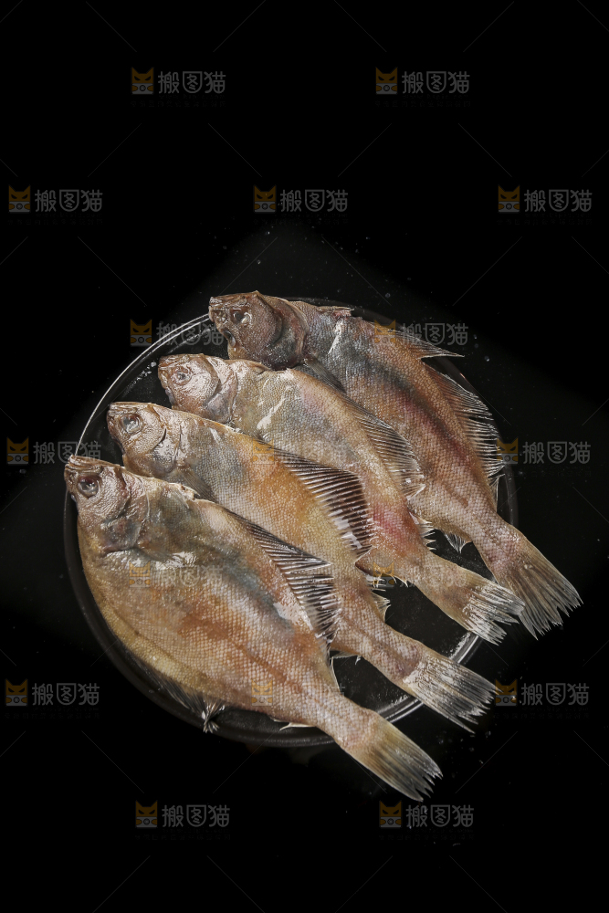 深底上的鲽鱼