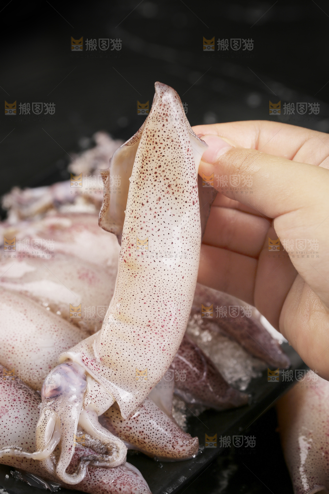 深底上的海兔