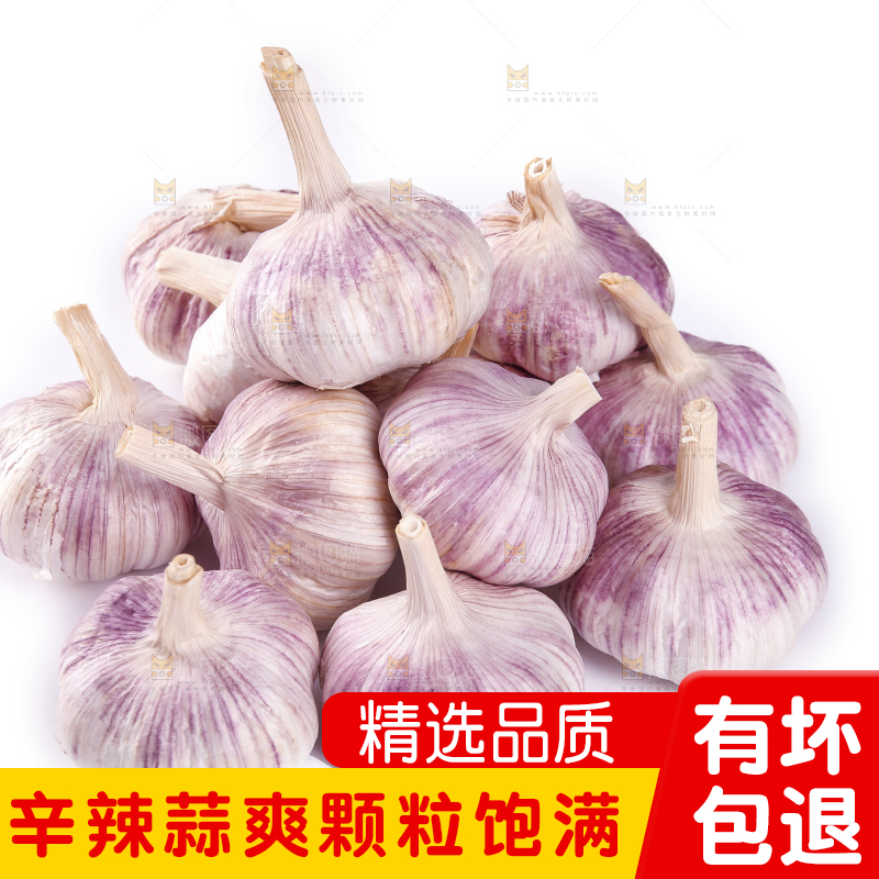 白底上的紫皮干大蒜