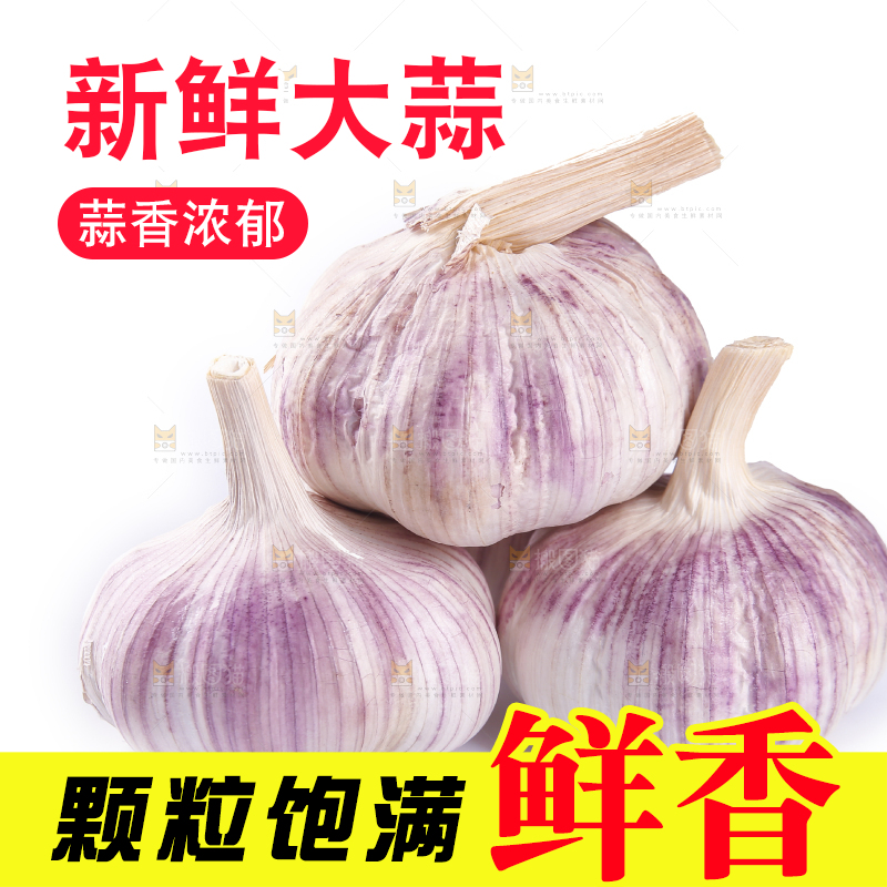 白底上的紫皮干大蒜
