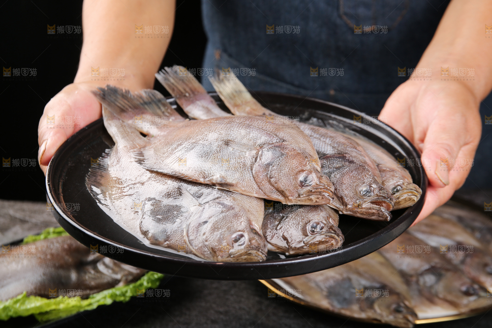 深底上的鲽鱼
