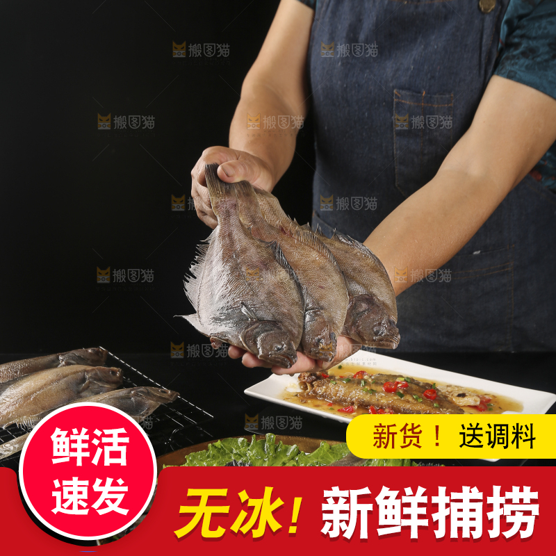 深底上的鲽鱼