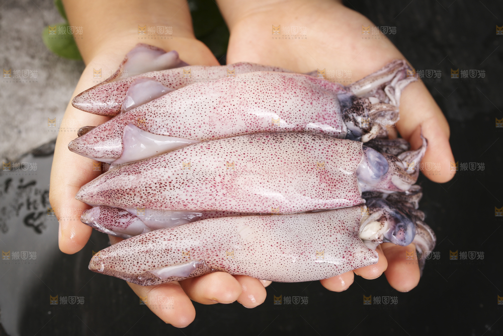 深底上的海兔