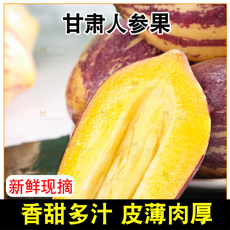 浅底上的民勤人参果