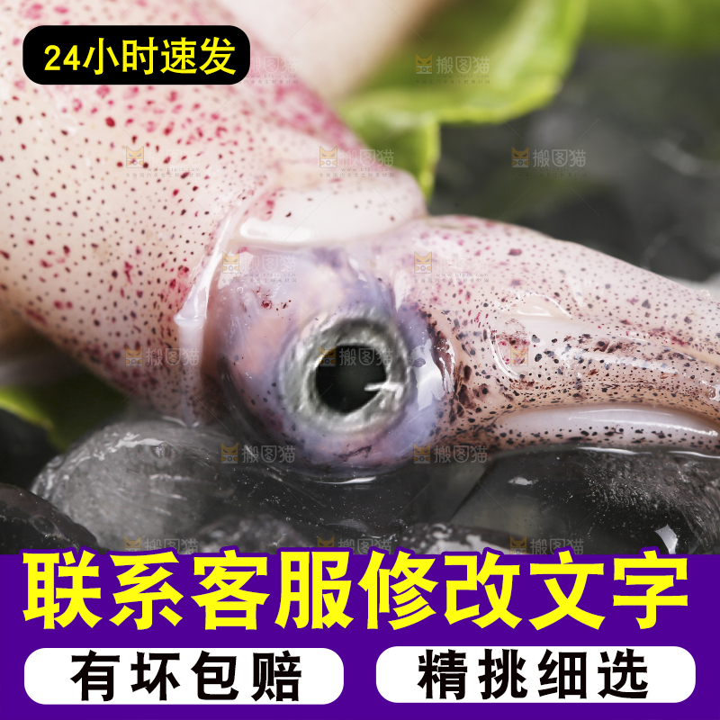 深底上的海兔
