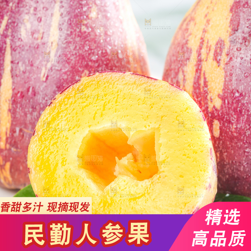 浅底上的民勤人参果