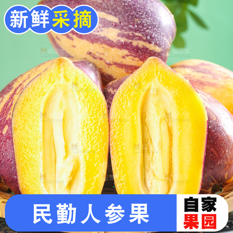 浅底上的民勤人参果