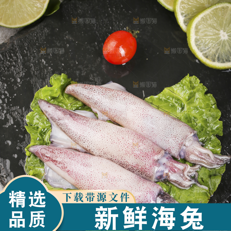 深底上的海兔