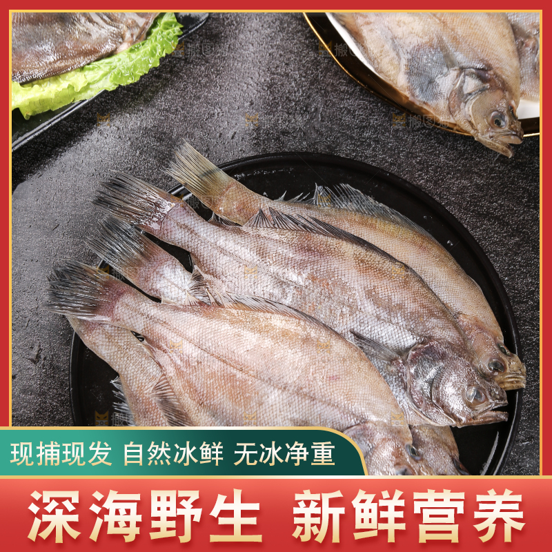 深底上的鲽鱼