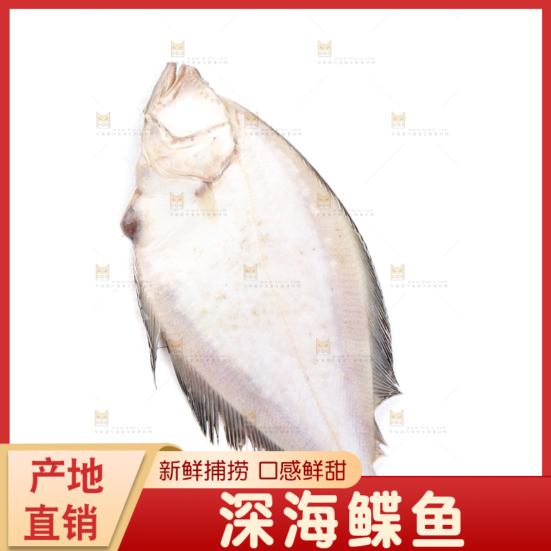 白底上的鲽鱼