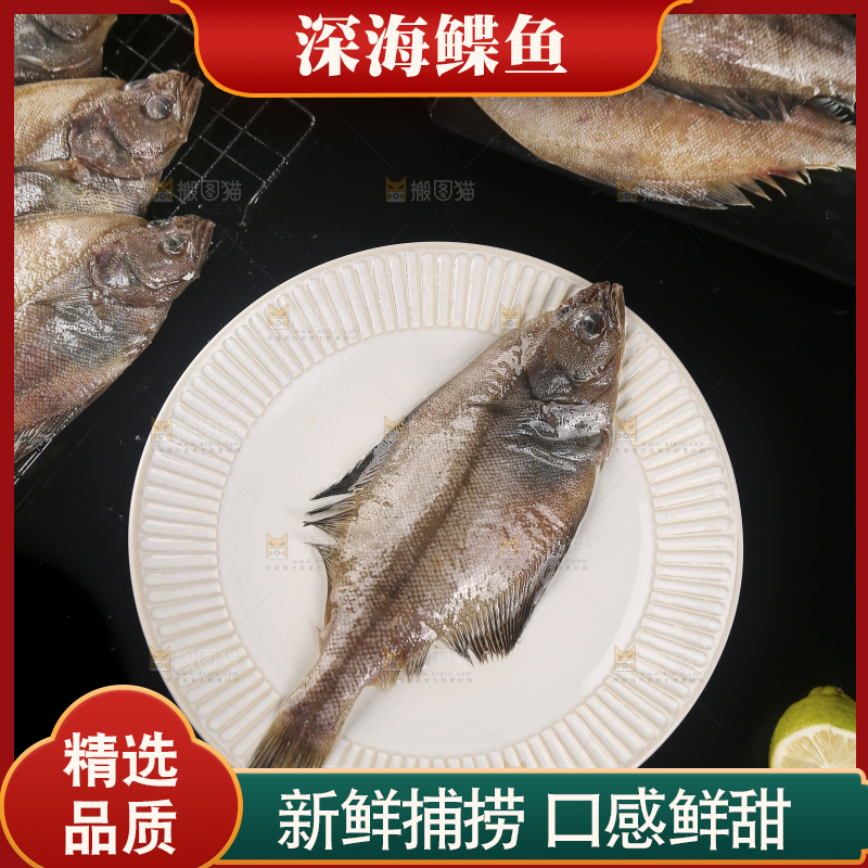 深底上的鲽鱼