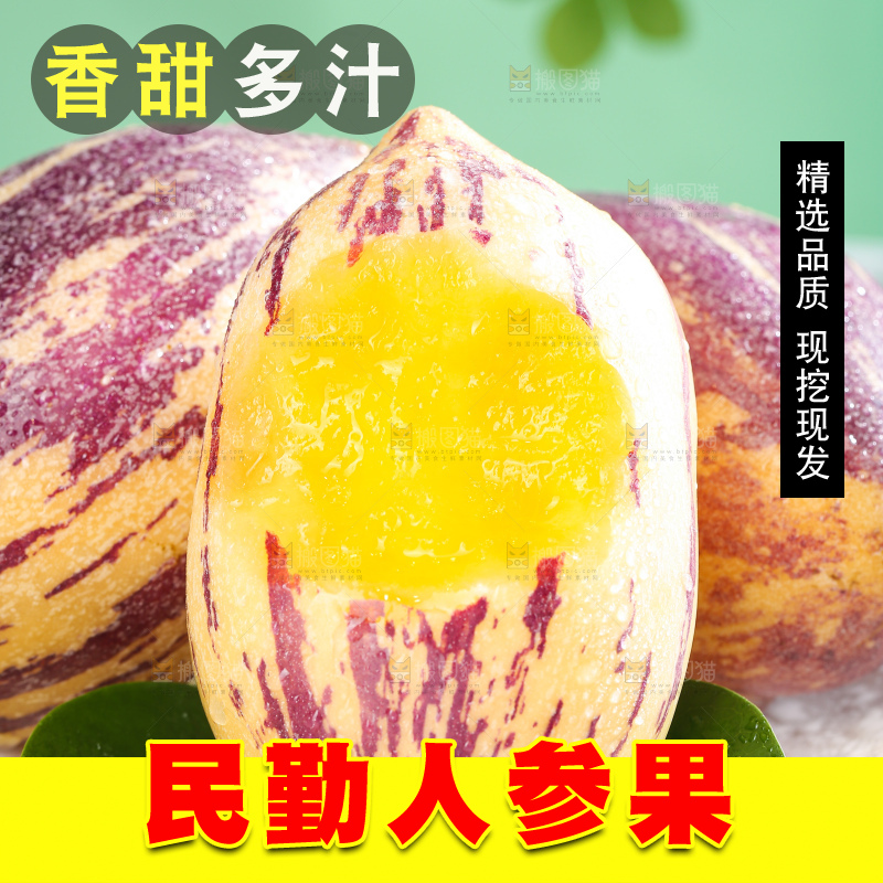 浅底上的民勤人参果
